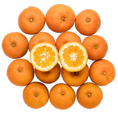 PomeransPosen