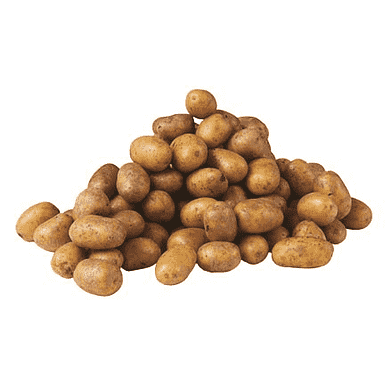 Potatis