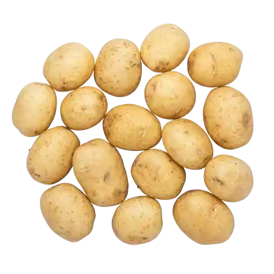 Potatis