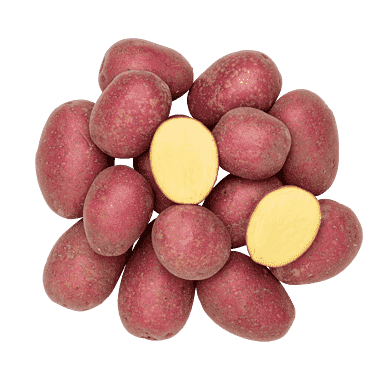 Potatis - Alouette
