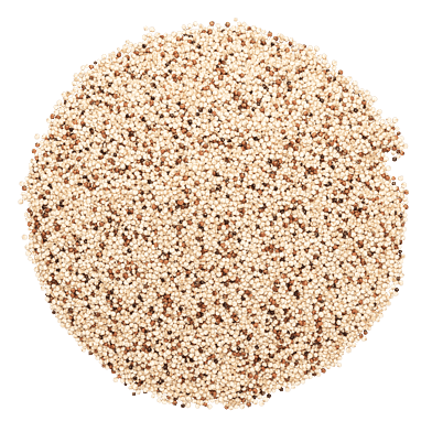 Quinoa, blandet