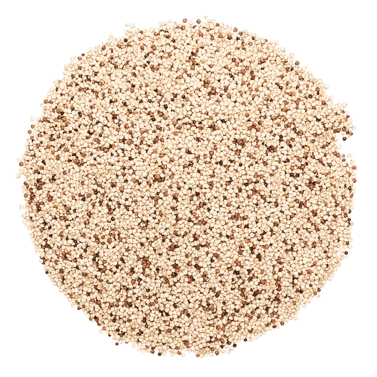 Quinoa, blandet