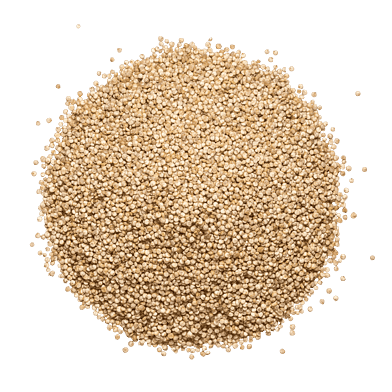 QuinoaPosen