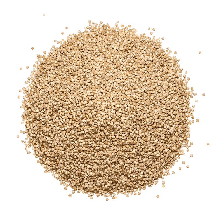 QuinoaPosen