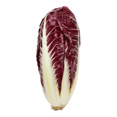 Radicchio-salat