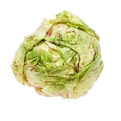 Radicchio – Variegato Castelfranco