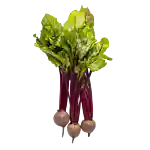 Rødbeder i bundt