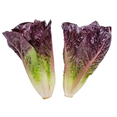 Rød mini-romaine