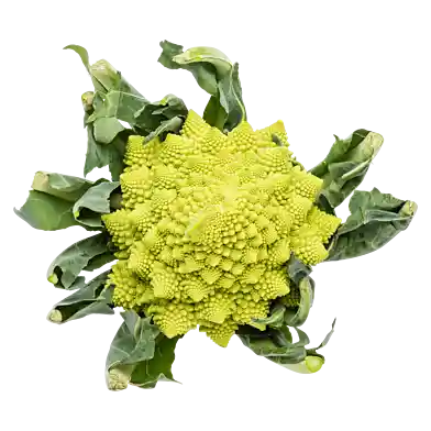 Romanesco