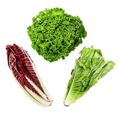 SalatKassen