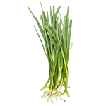 Salladslök