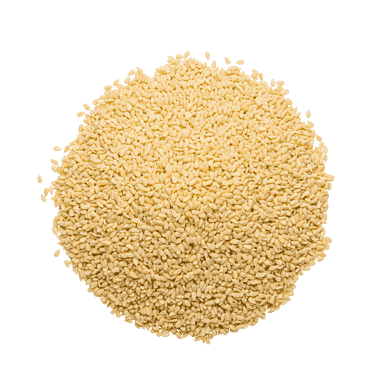 Semi di Melone-pasta
