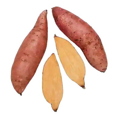 Sötpotatis