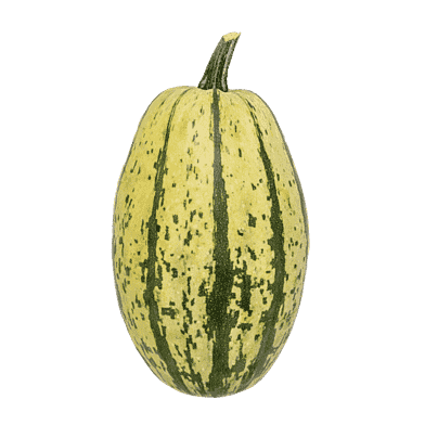 Spaghetti-squash
