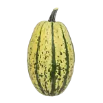 Spaghetti-squash