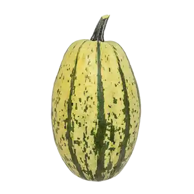 Spaghetti-squash