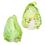 Spetskål