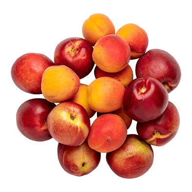 StenfrugtPosen