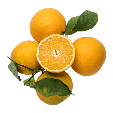 Tarocco-apelsiner med blad