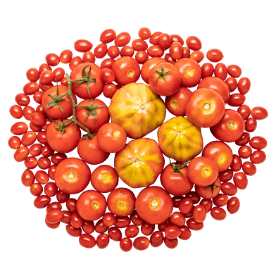 TomatKassen