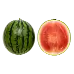 Vattenmelon