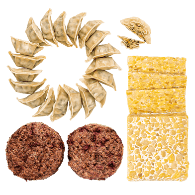 Vegansk SmageKasse