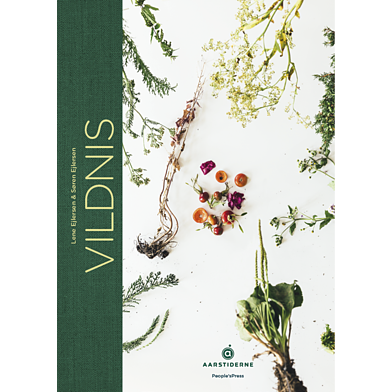 Vildnis bog