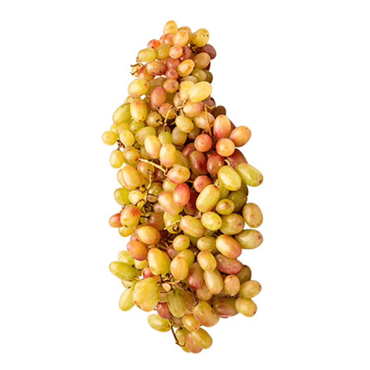 VindruePosen