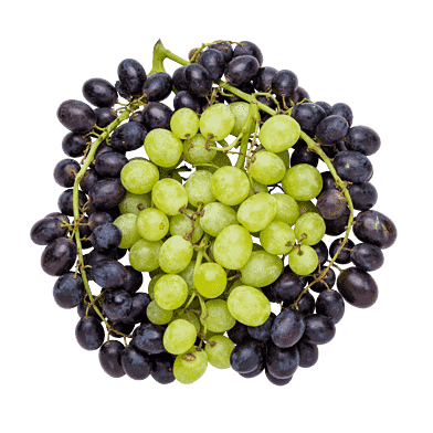 Vindruvor – gröna och röda, kärnfria