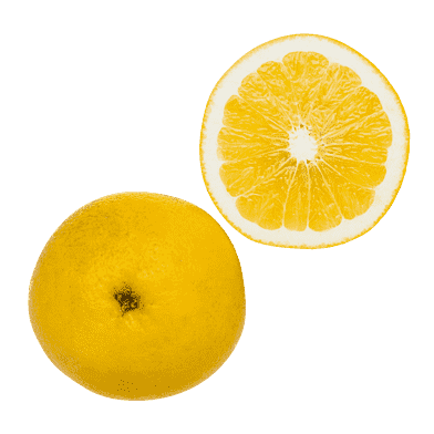 Vit grapefrukt