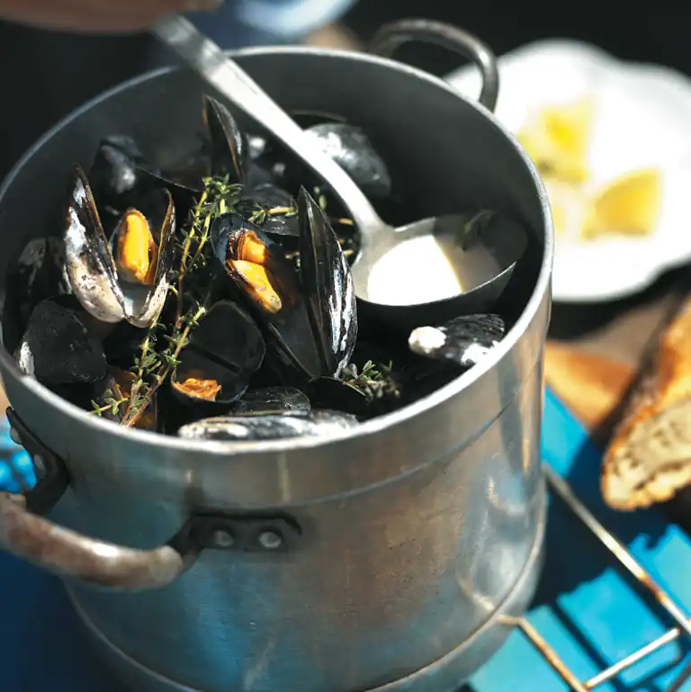 Dampede muslinger med urter, fennikel, porre og kartoffelaioli