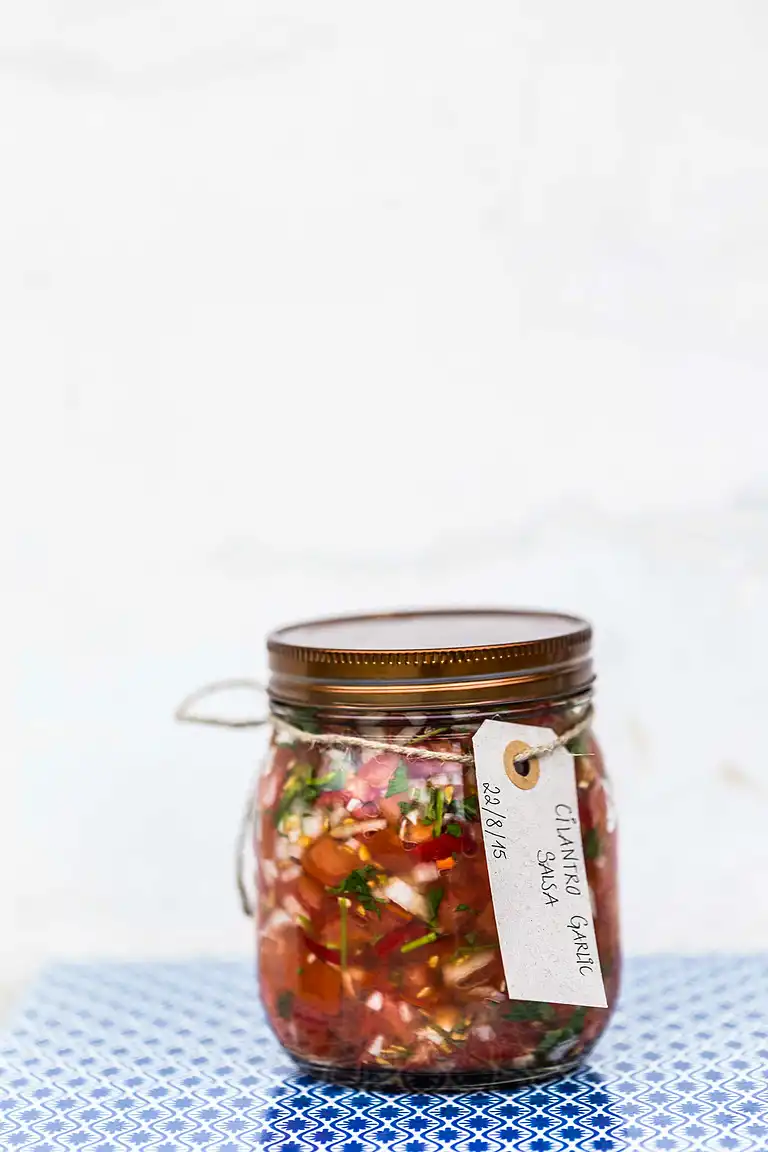 Fermenteret salsa