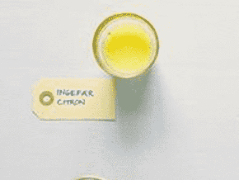 Ingefær citron - shot