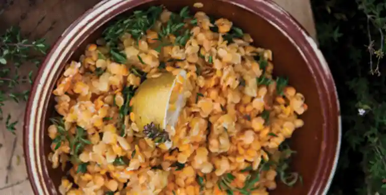 Linsesalat med rødbede-fennikel-salat