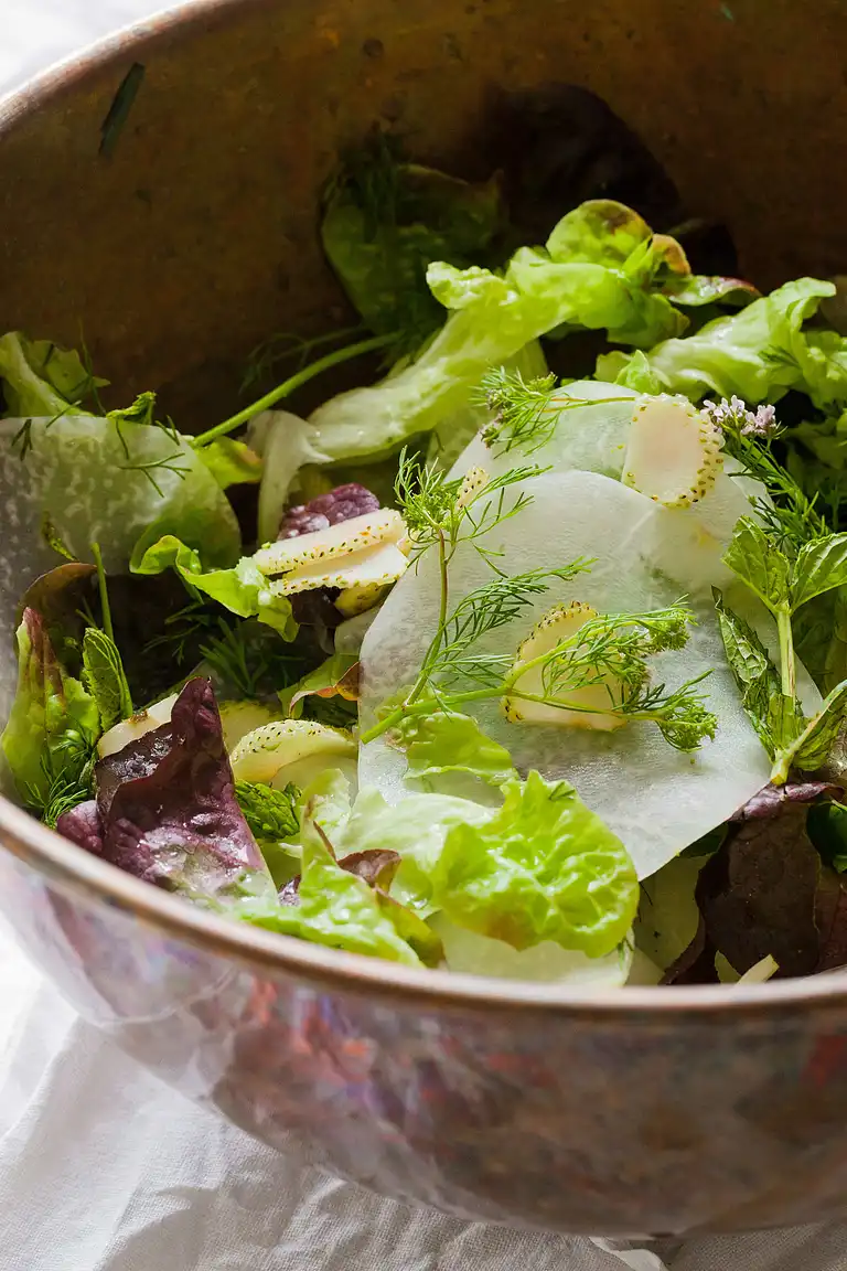 Salat med glaskål, grønne jordbær, knæhøj karse, frisk koriander og mormordressing