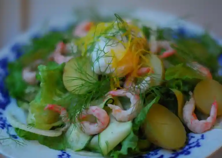 Salat med søkogte rejer, nye kartofler, fennikel og pocherede æg