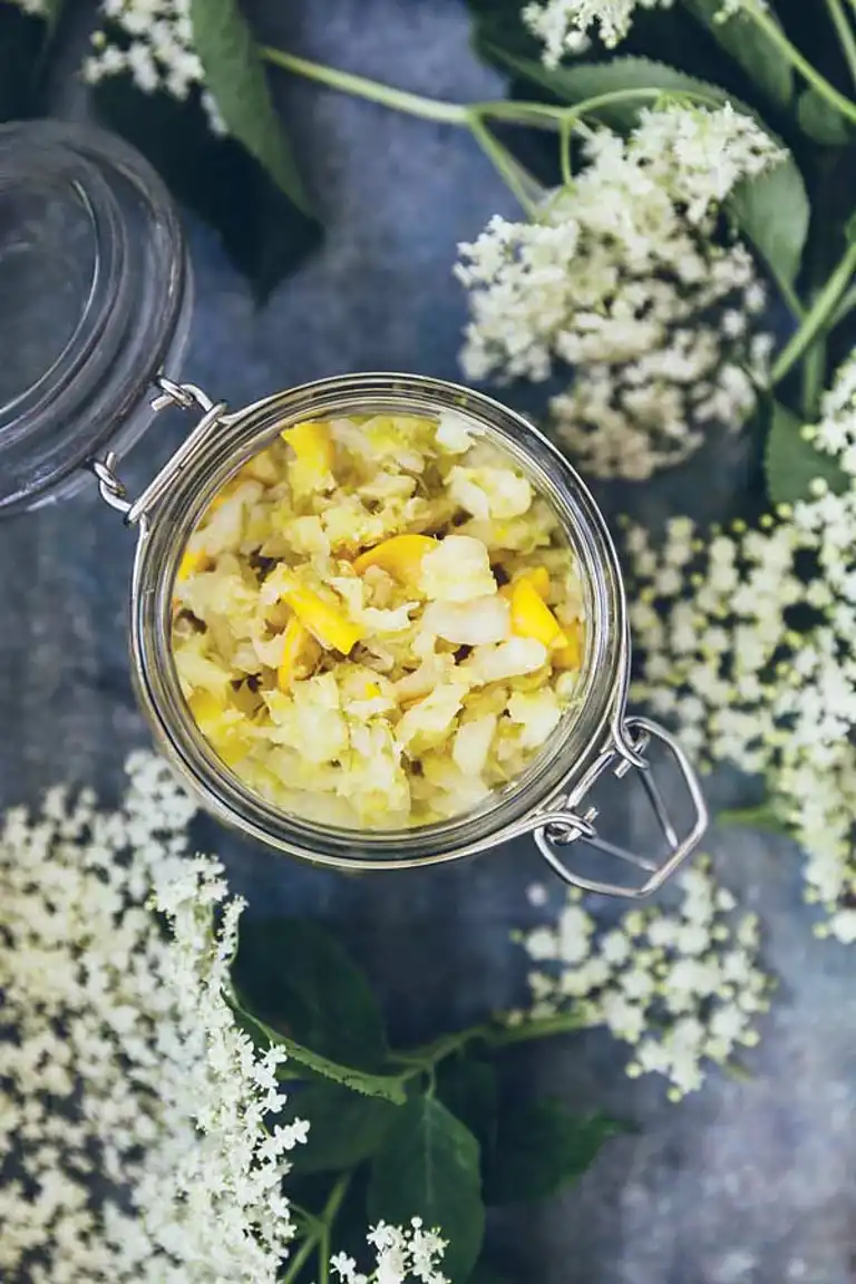 Sommerkraut med hyldeblomst & saltede citrusfrugter