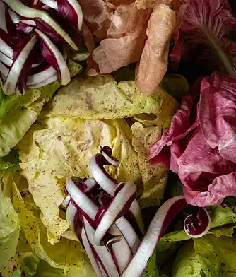 Stegt radicchiosalat med honning og sennepsmarinade