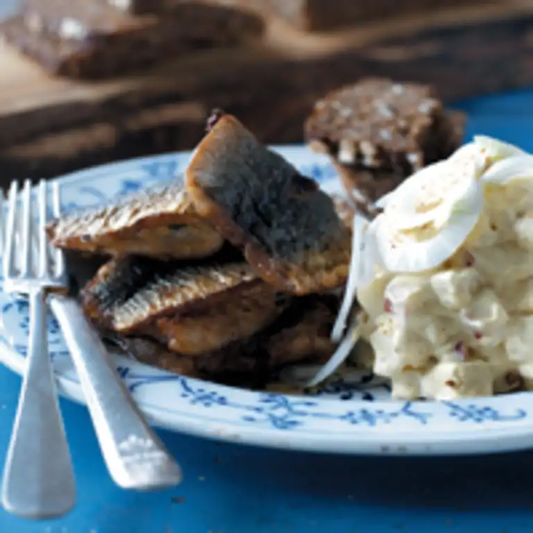 Stegte sild med karrysalat