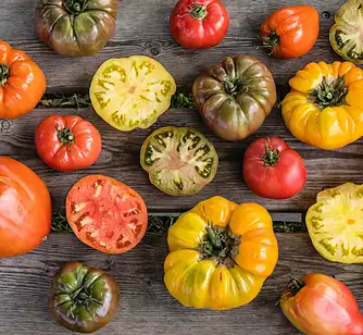 Tomatsalat med mandel-persillepesto