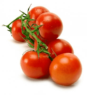 Bakade tomater med rosmarin