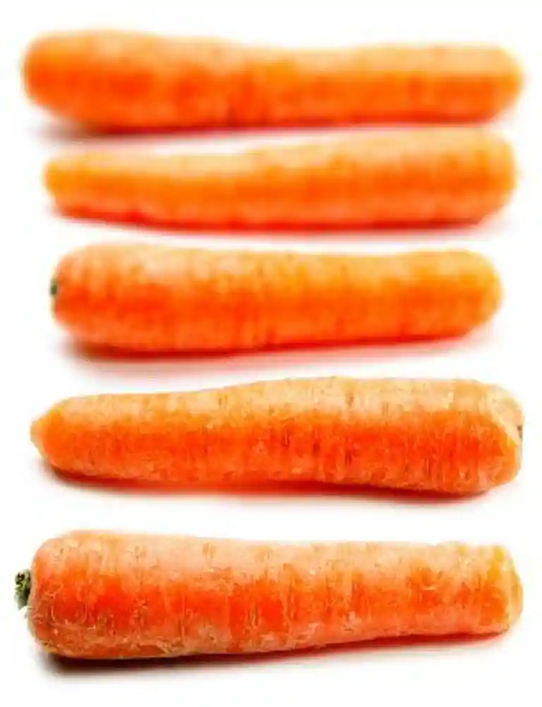 Morotsmajonnäs med krasse