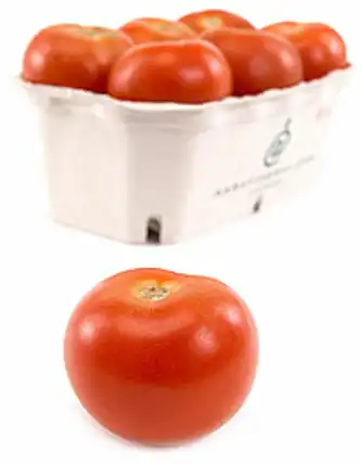 Nonos tomatlasagne