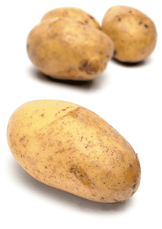 Potatis- och sparrissallad med citroncreme
