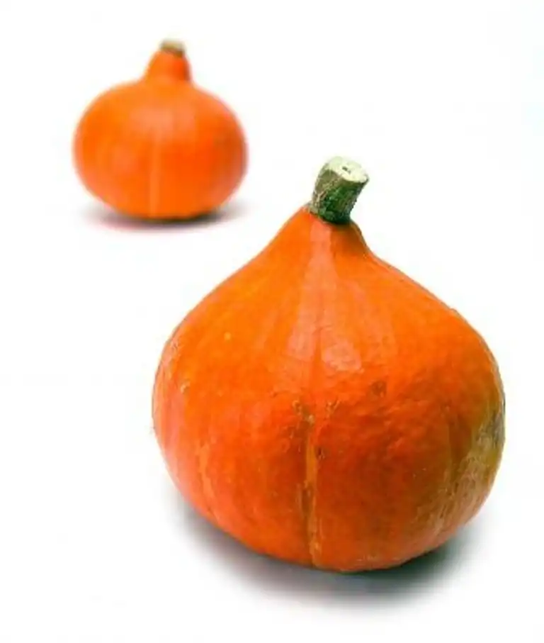 Rostad pumpasallad med fetaost 