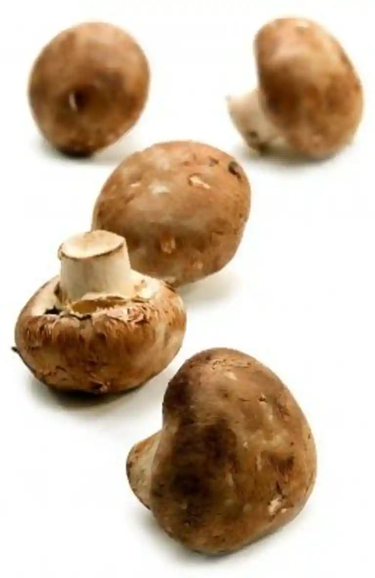 Starka champinjoner med nudlar